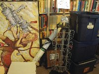 lbl cat artistic abomination 180901